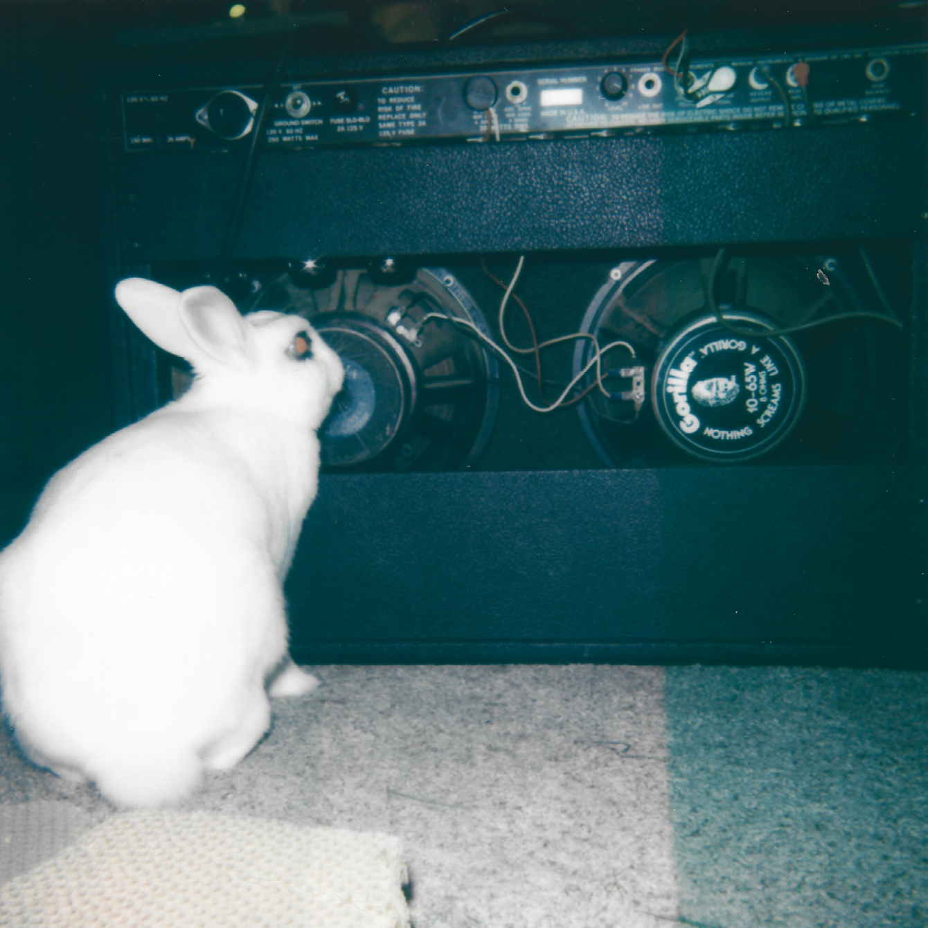 About the Hare Metal campaign on Bonfire 2