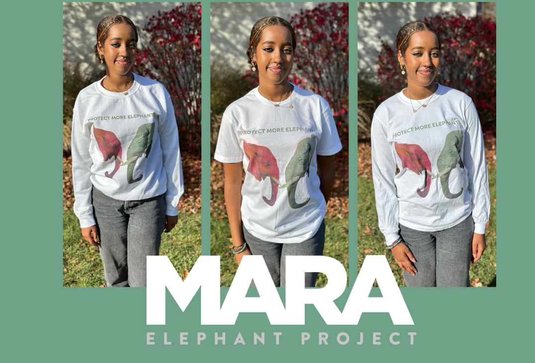 About the Protect More Elephants campaign on Bonfire 2