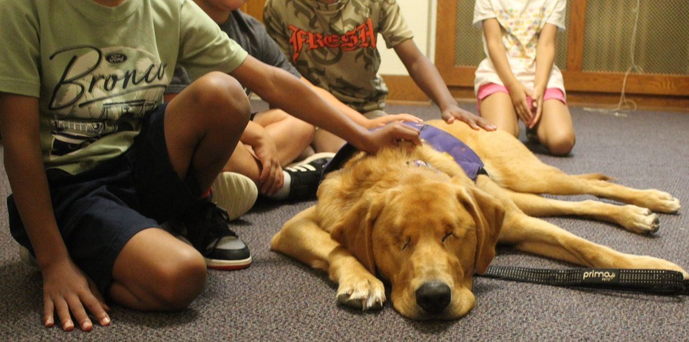 About the Clothing campaign on Bonfire 2