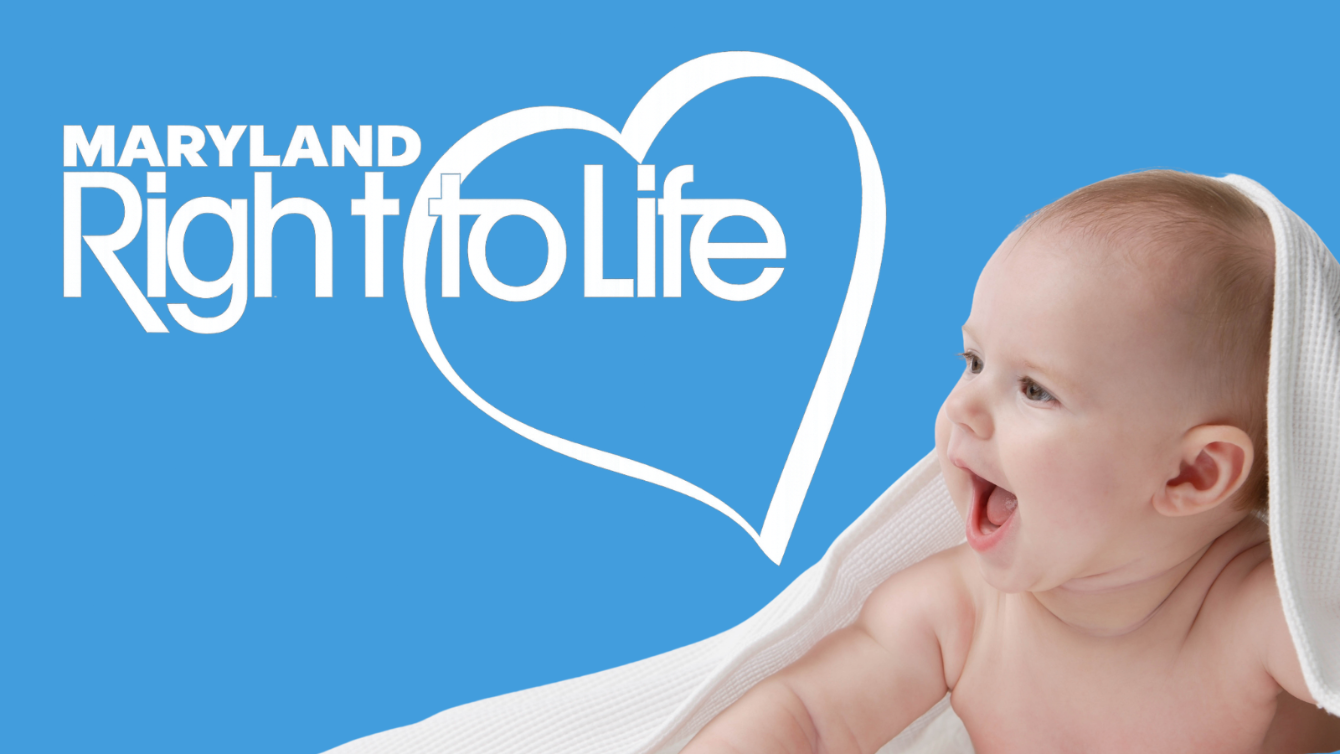 About the Choose Life - MD Right to Life Logo Merch campaign on Bonfire 2