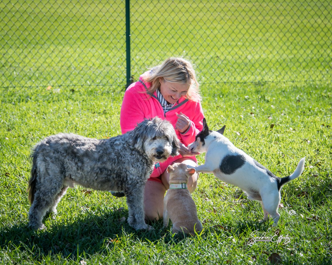 About the The Pet Cottage campaign on Bonfire 3