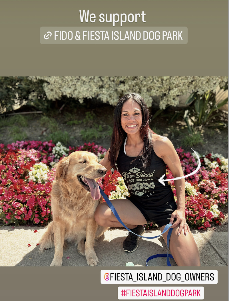 About the FIDO Vintage Look, Green campaign on Bonfire 2