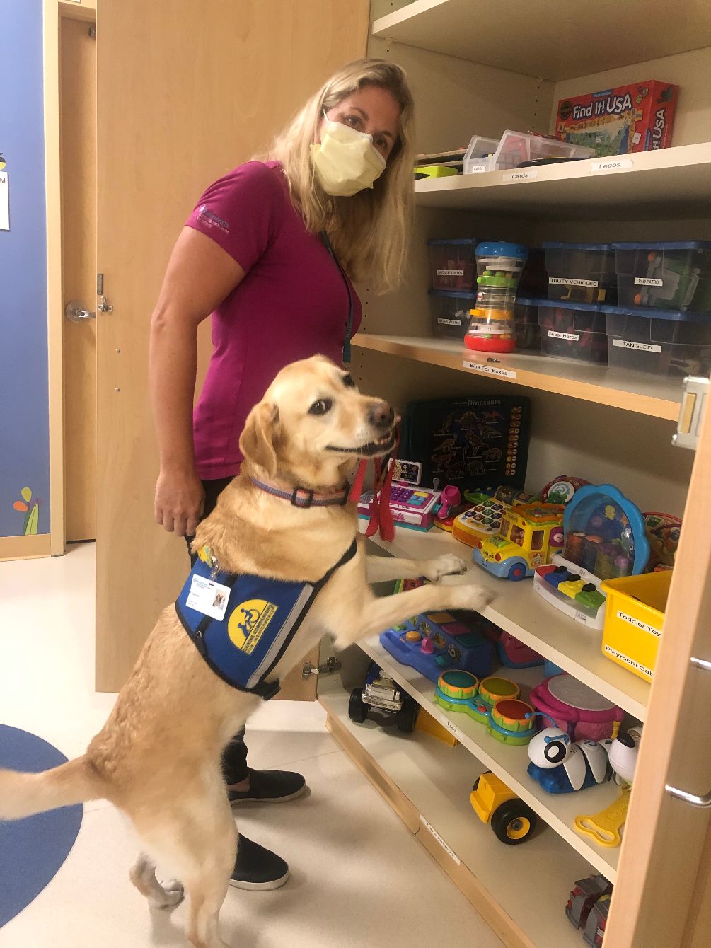 Canine Companions Trained Therapy Dogs For Adoption Top Trained