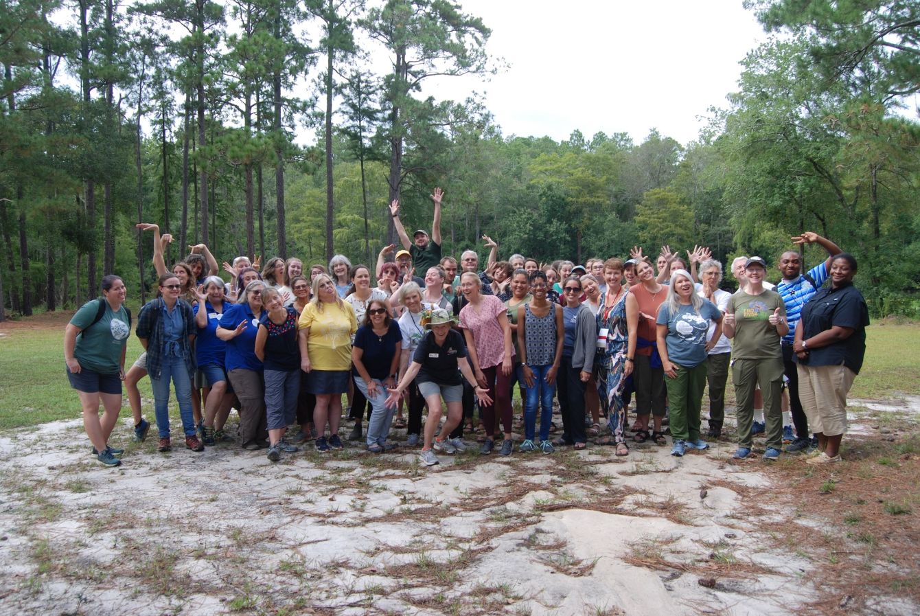 About the  campaign on Bonfire 2