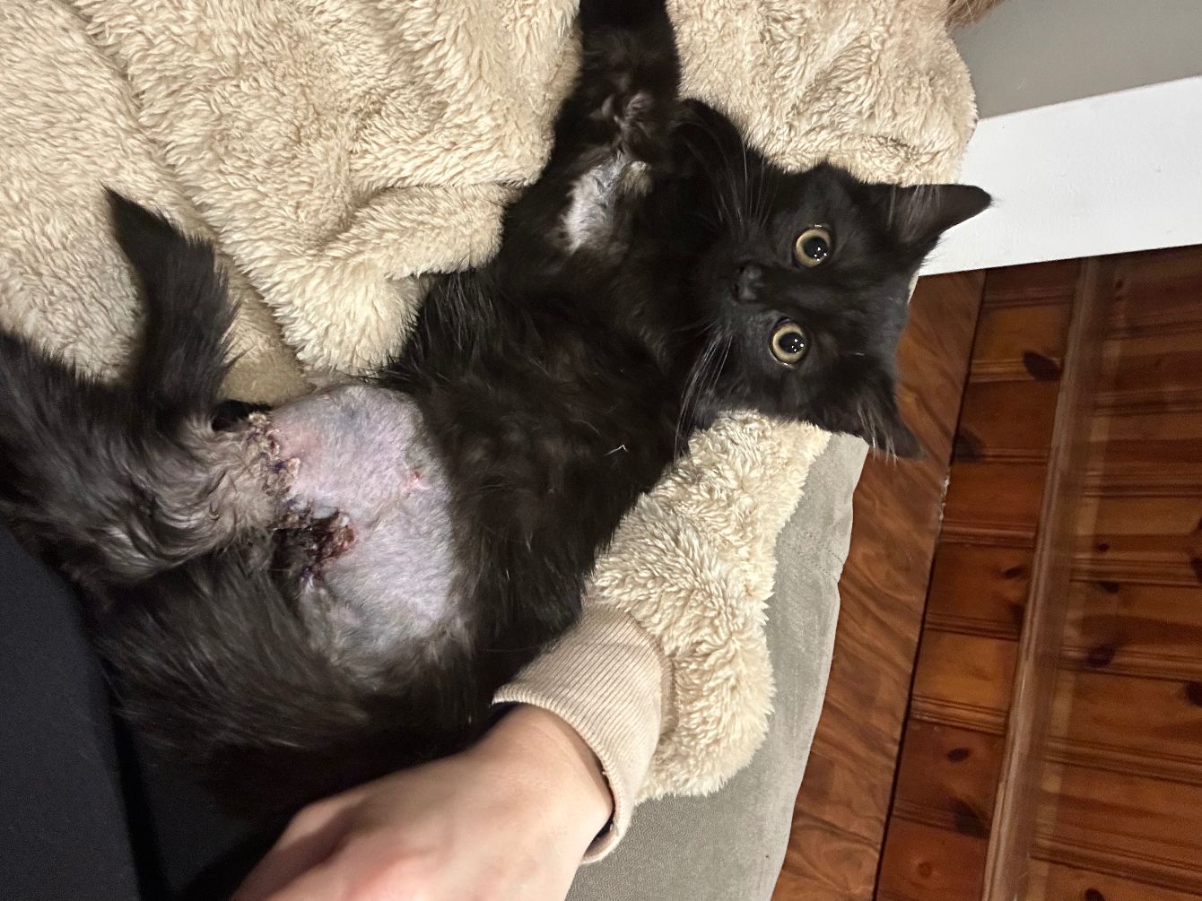 About the Full of existential bread campaign on Bonfire 3