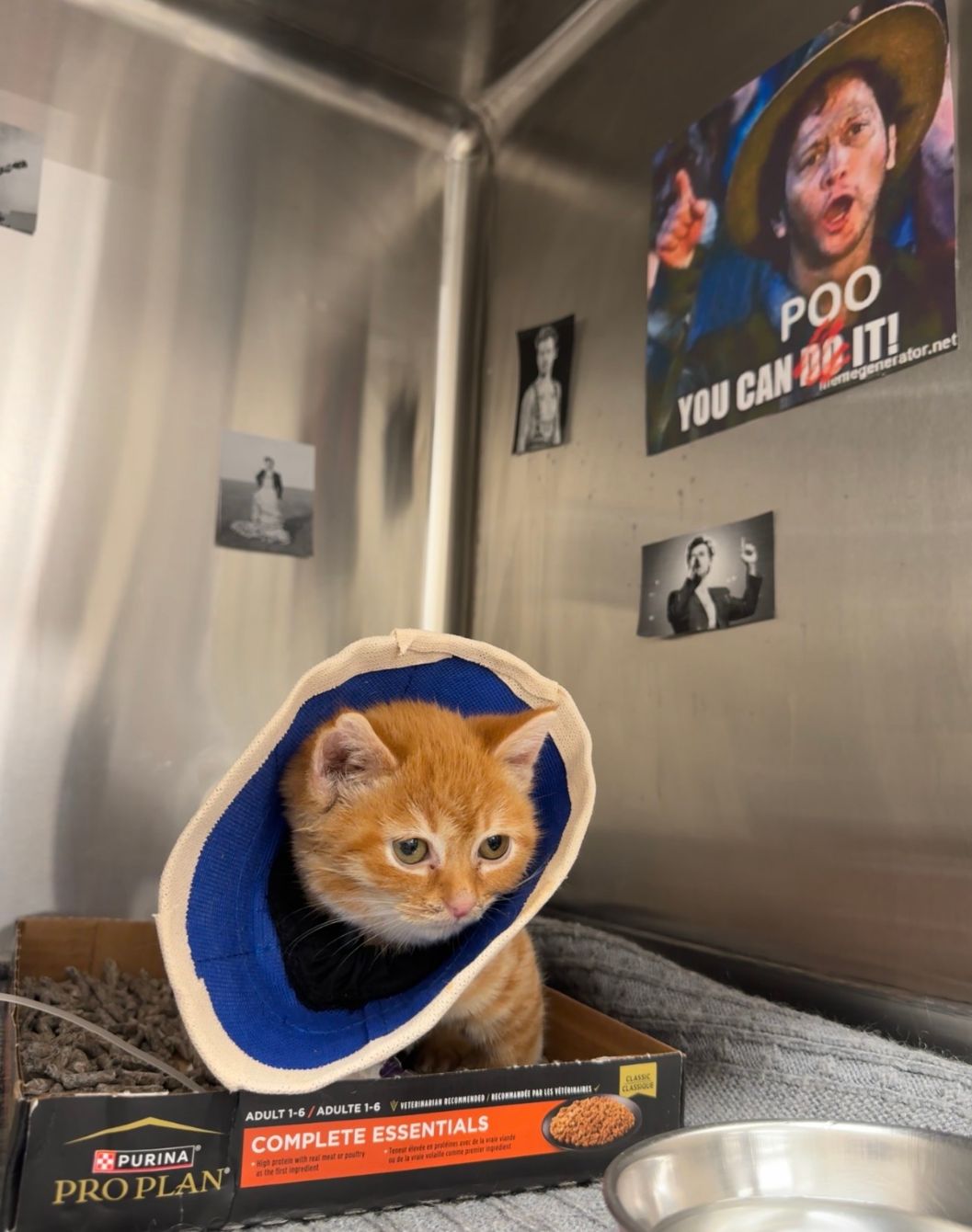 About the Full of existential bread campaign on Bonfire 2