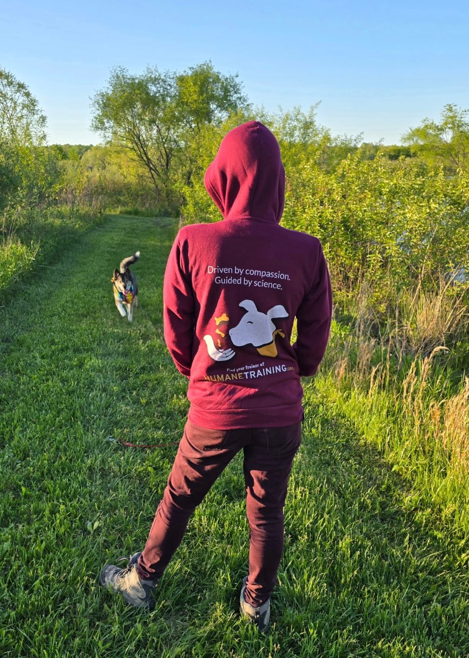 About the Wear your values & help dogs thrive! campaign on Bonfire 4