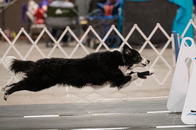 About the Flying High Nostalgia campaign on Bonfire 2