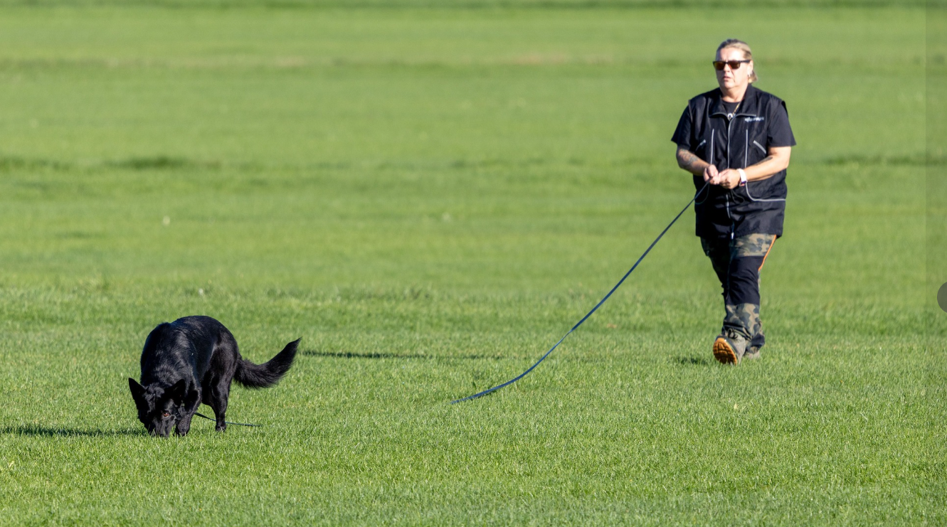 About the Daniela and Ash - 2025 DVG Nationals campaign on Bonfire 7