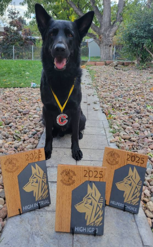 About the Daniela and Ash - 2025 DVG Nationals campaign on Bonfire 13