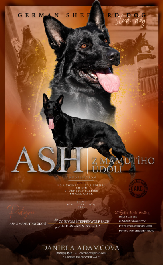 About the Daniela and Ash - 2025 DVG Nationals campaign on Bonfire 14