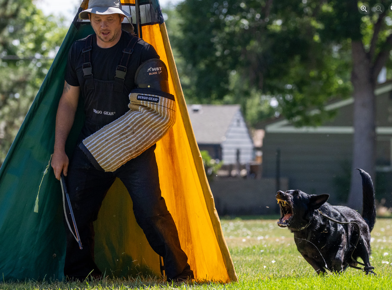 About the Daniela and Ash - 2025 DVG Nationals campaign on Bonfire 3