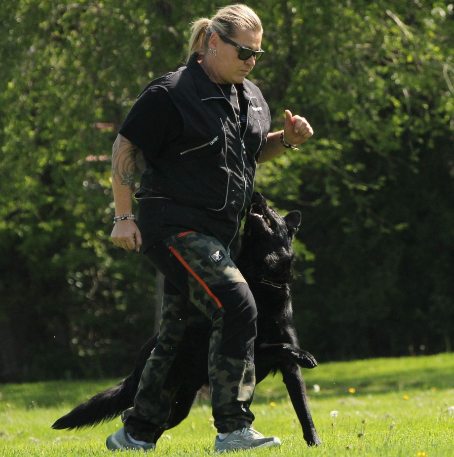 About the Daniela and Ash - 2025 DVG Nationals campaign on Bonfire 11