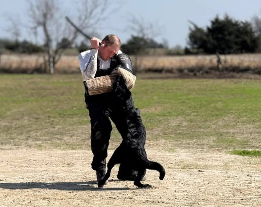 About the Daniela and Ash - 2025 DVG Nationals campaign on Bonfire 12