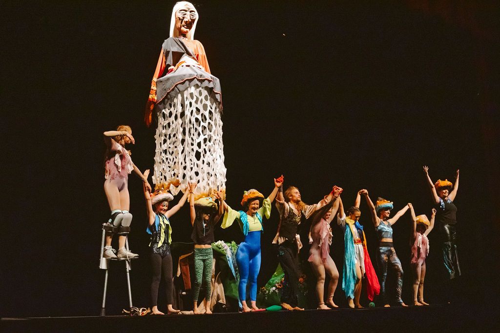 About the Wise Fool Merch Fundraiser campaign on Bonfire 13