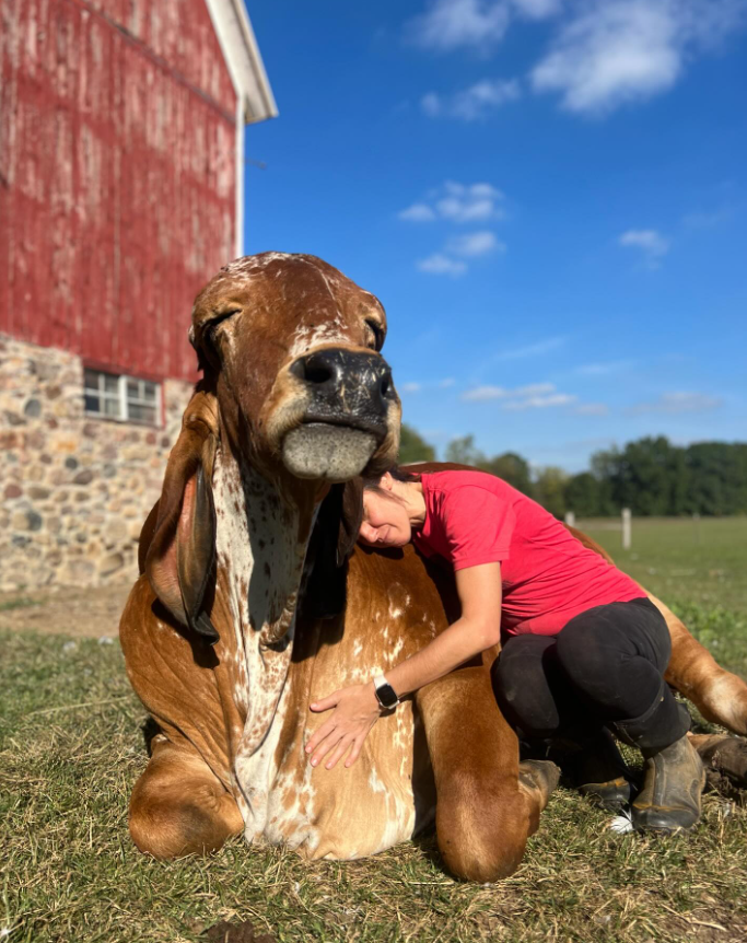 About the  campaign on Bonfire 5