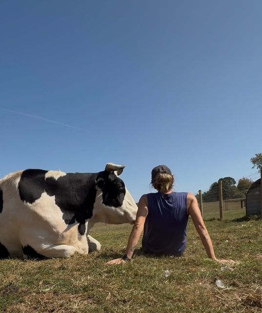 About the  campaign on Bonfire 15