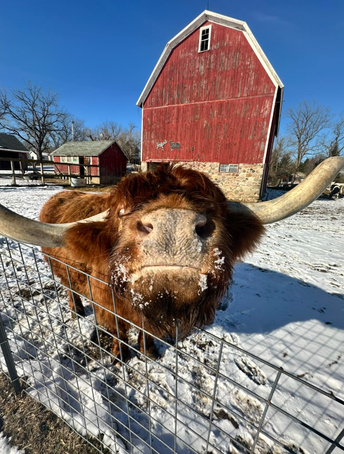 About the  campaign on Bonfire 17