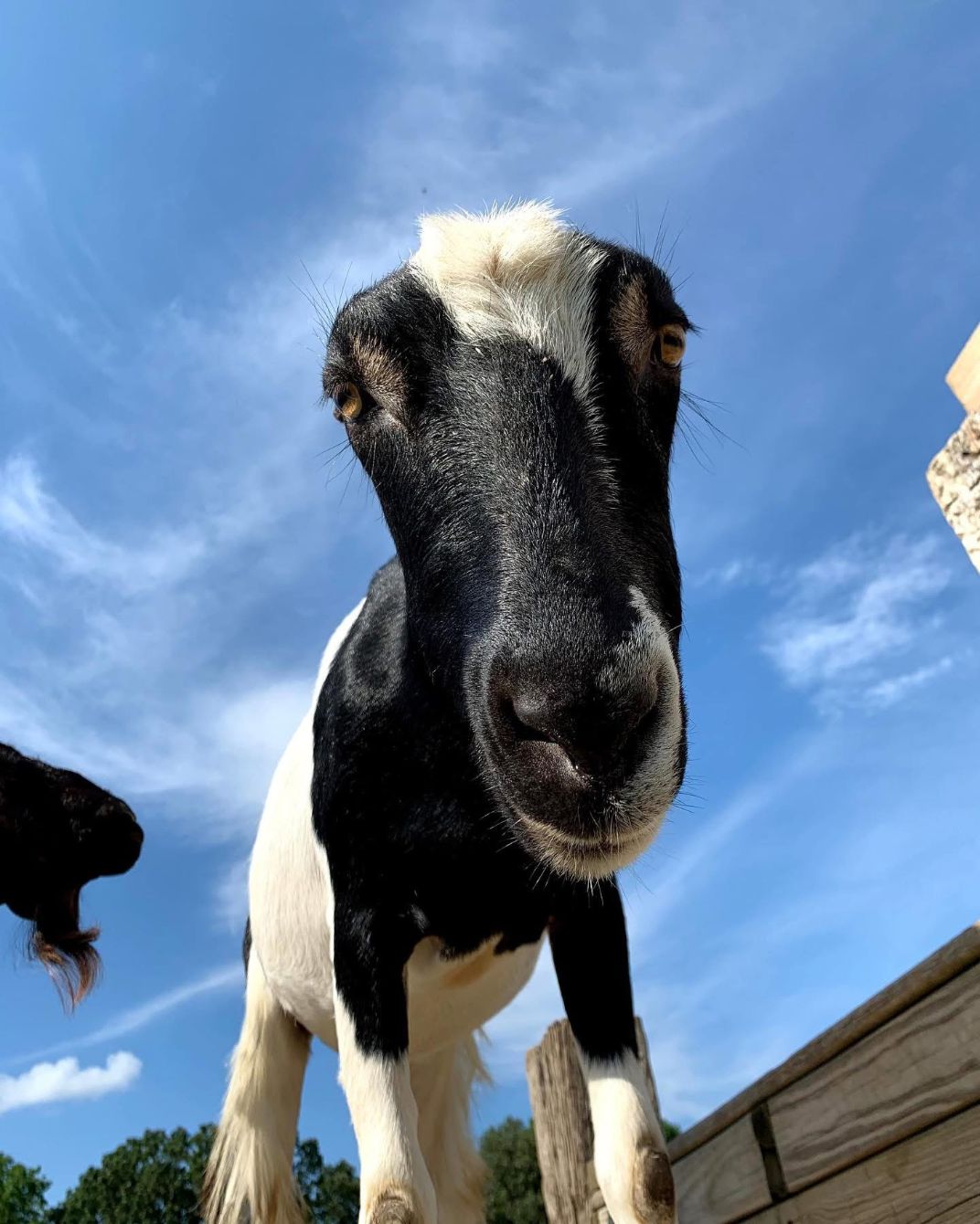 About the  campaign on Bonfire 4