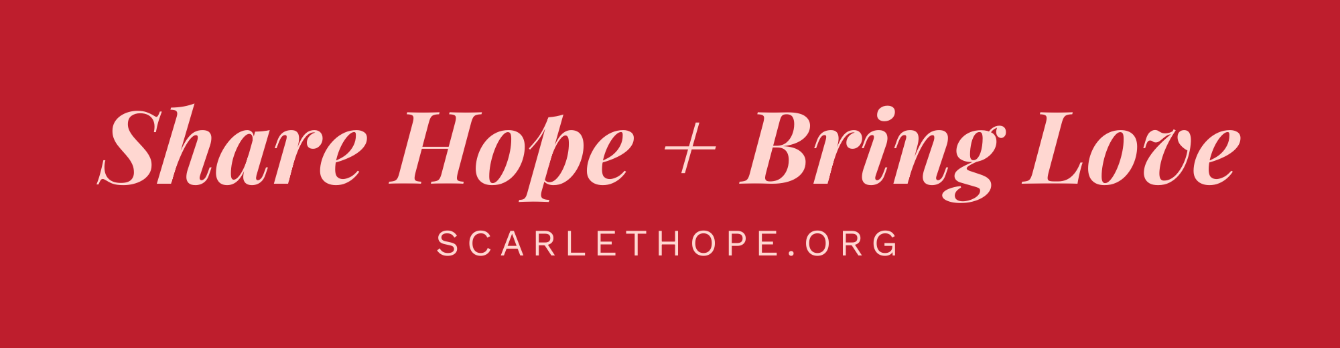 About the Scarlet Hope Nashville campaign on Bonfire 2