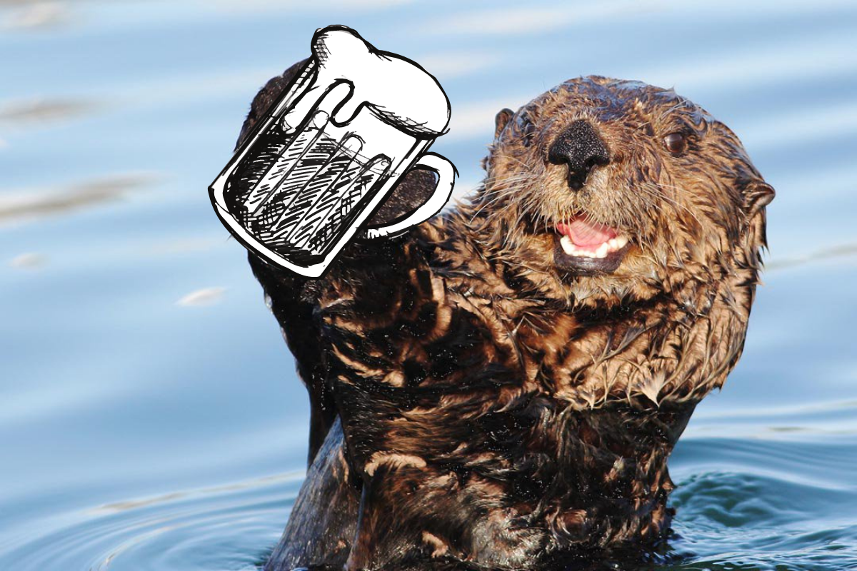 About the 2022 Oregon Otter Beer Shirts campaign on Bonfire 1