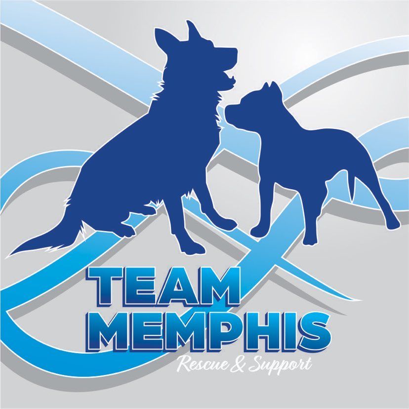 About the Team Memphis Rescue & Support campaign on Bonfire 2
