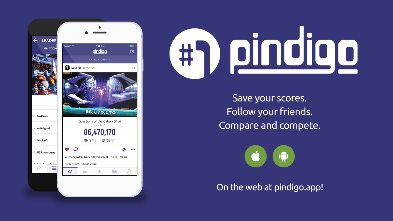 About the Pindigo "Gotta Flip 'Em All!" campaign on Bonfire 2