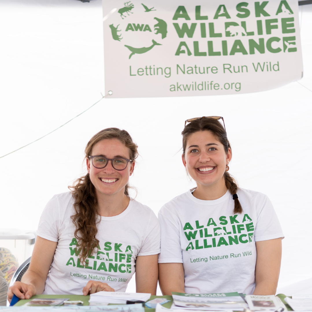 About the Wildlife of Alaska campaign on Bonfire 4
