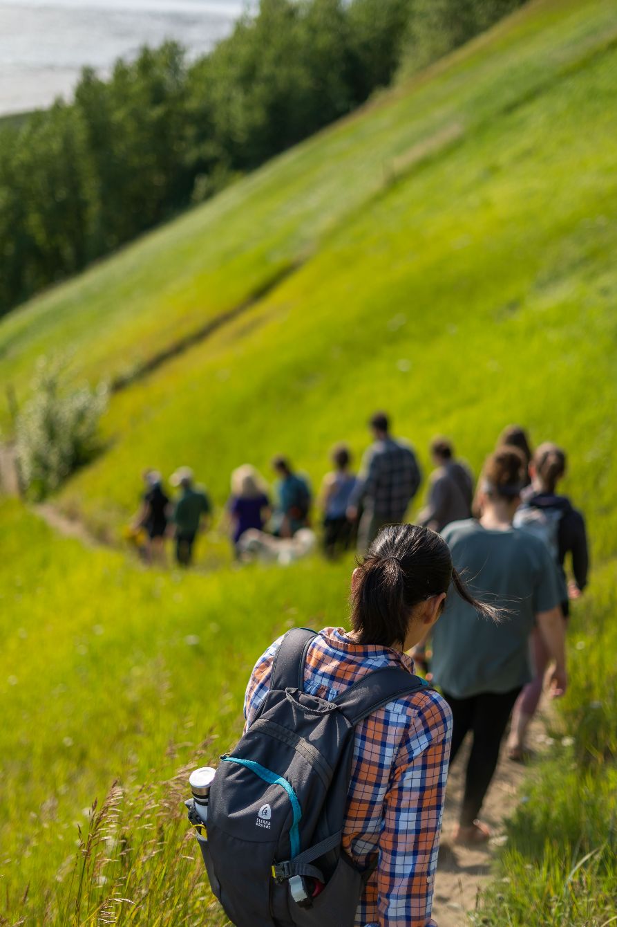 About the Wildlife of Alaska campaign on Bonfire 8