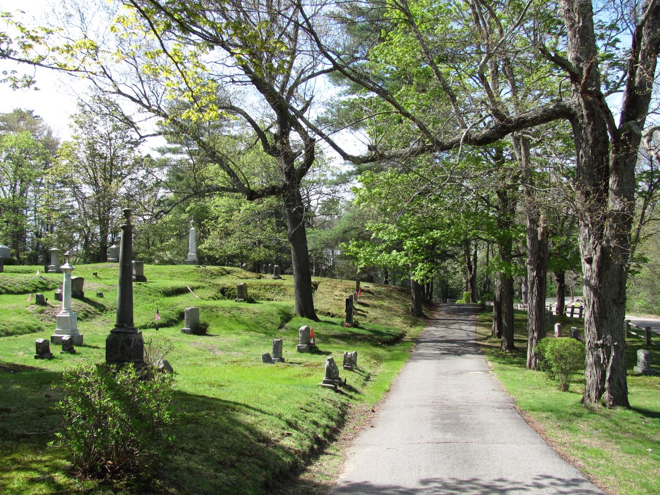 About the Prospect Hill Cemetery campaign on Bonfire 2