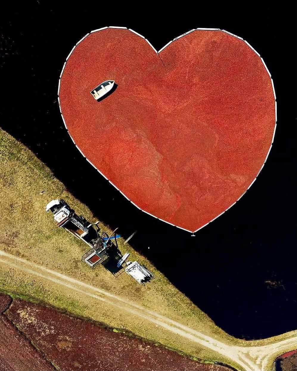 About the Cape Cod loves Cranberries campaign on Bonfire 2