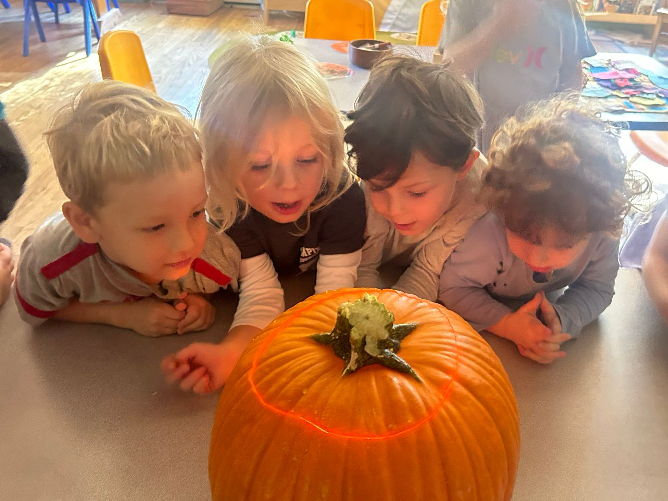 About the Amethyst 2025-2026 Class Shirt campaign on Bonfire 2