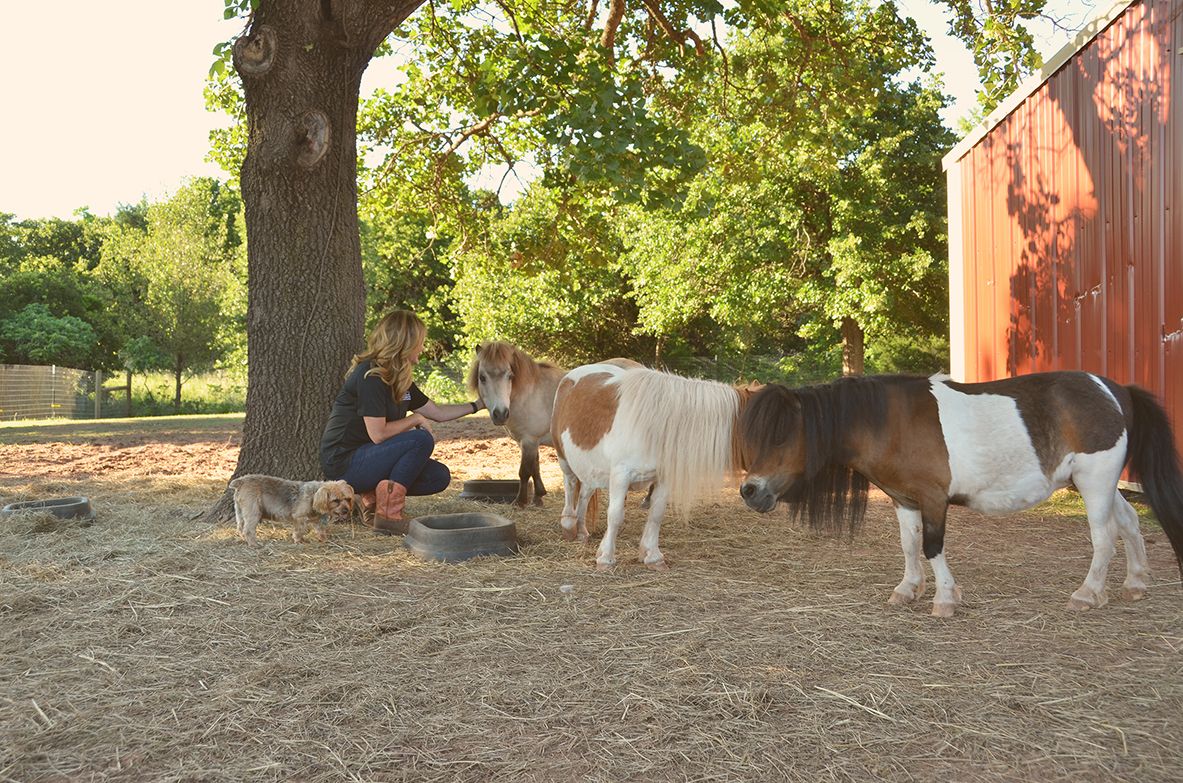 About the Willow Ranch T-shirt Fundraiser campaign on Bonfire 2