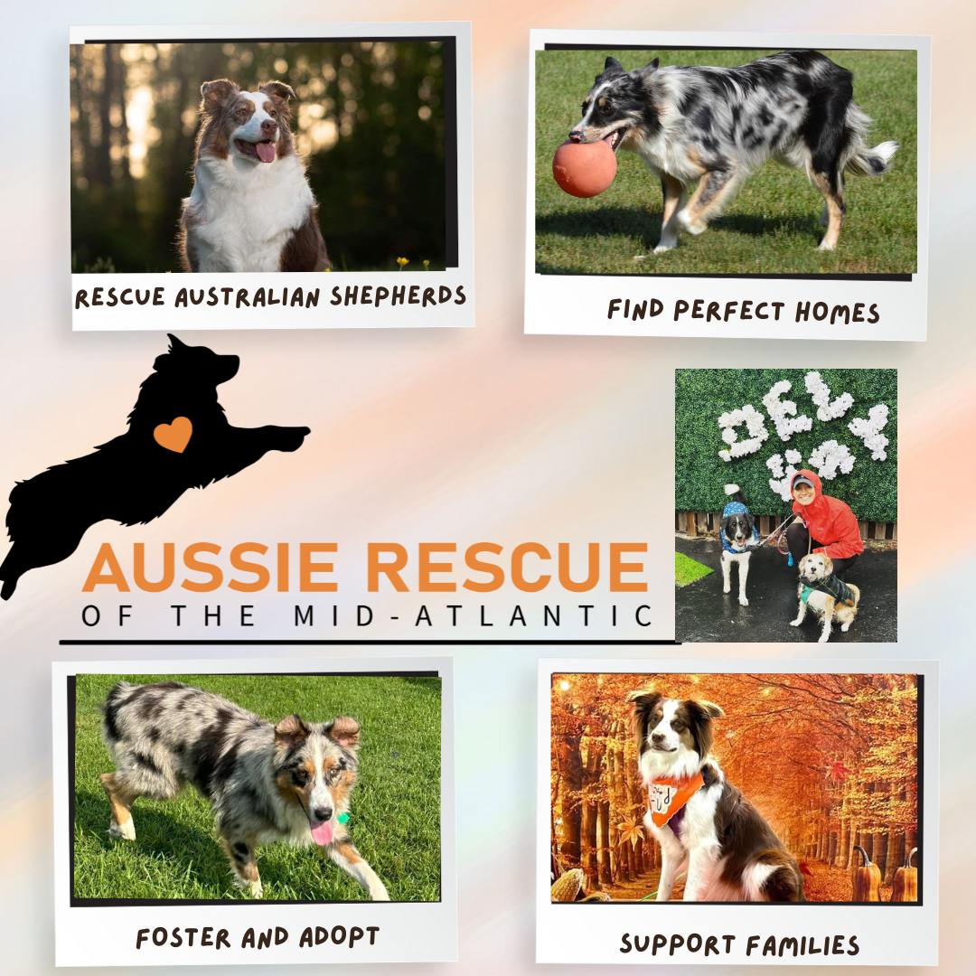 About the Aussie Rescue of the Mid-Atlantic campaign on Bonfire 2