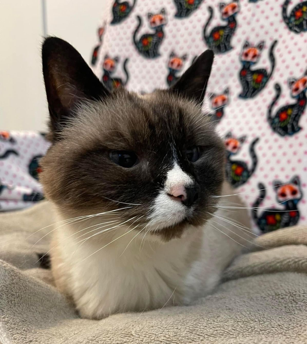 About the Reusable Tote campaign on Bonfire 1