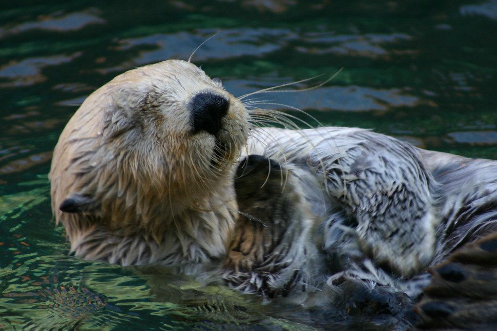 About the 2023 Giving Tuesday Fundraiser campaign on Bonfire 2