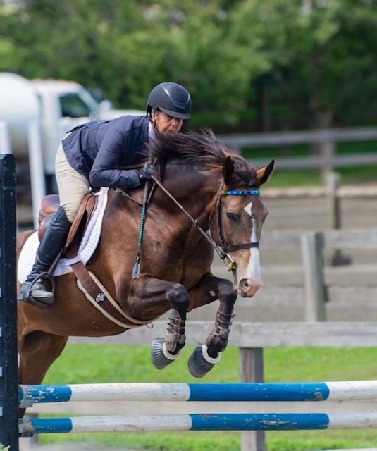 About the Horse of the Americas - Pink Floral Concha campaign on Bonfire 2