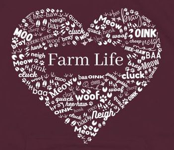 About the A HEART for FARM LIFE campaign on Bonfire 2