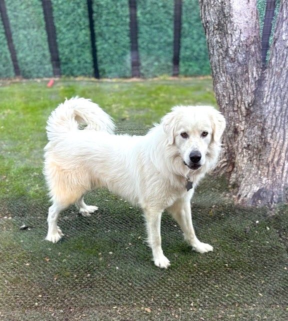 About the TGPR PPA 25th full zip hoodies campaign on Bonfire 5