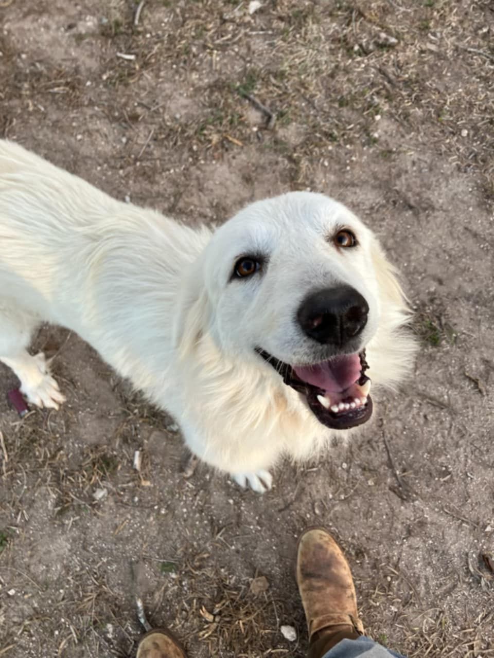 About the TGPR PPA 25th full zip hoodies campaign on Bonfire 6