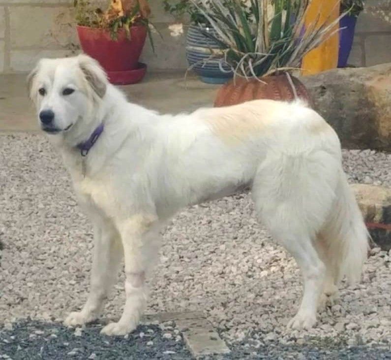 About the TGPR PPA 25th full zip hoodies campaign on Bonfire 3