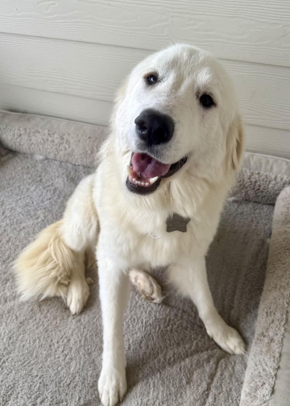 About the TGPR PPA 25th full zip hoodies campaign on Bonfire 4