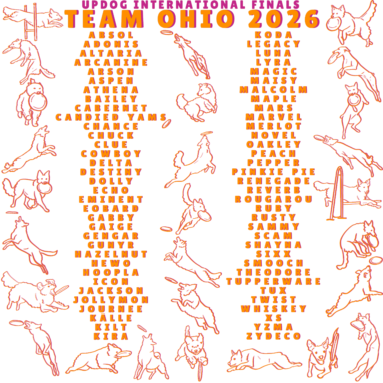 About the Team Ohio UPDIF 2026 ORANGE plus Chuck campaign on Bonfire 2