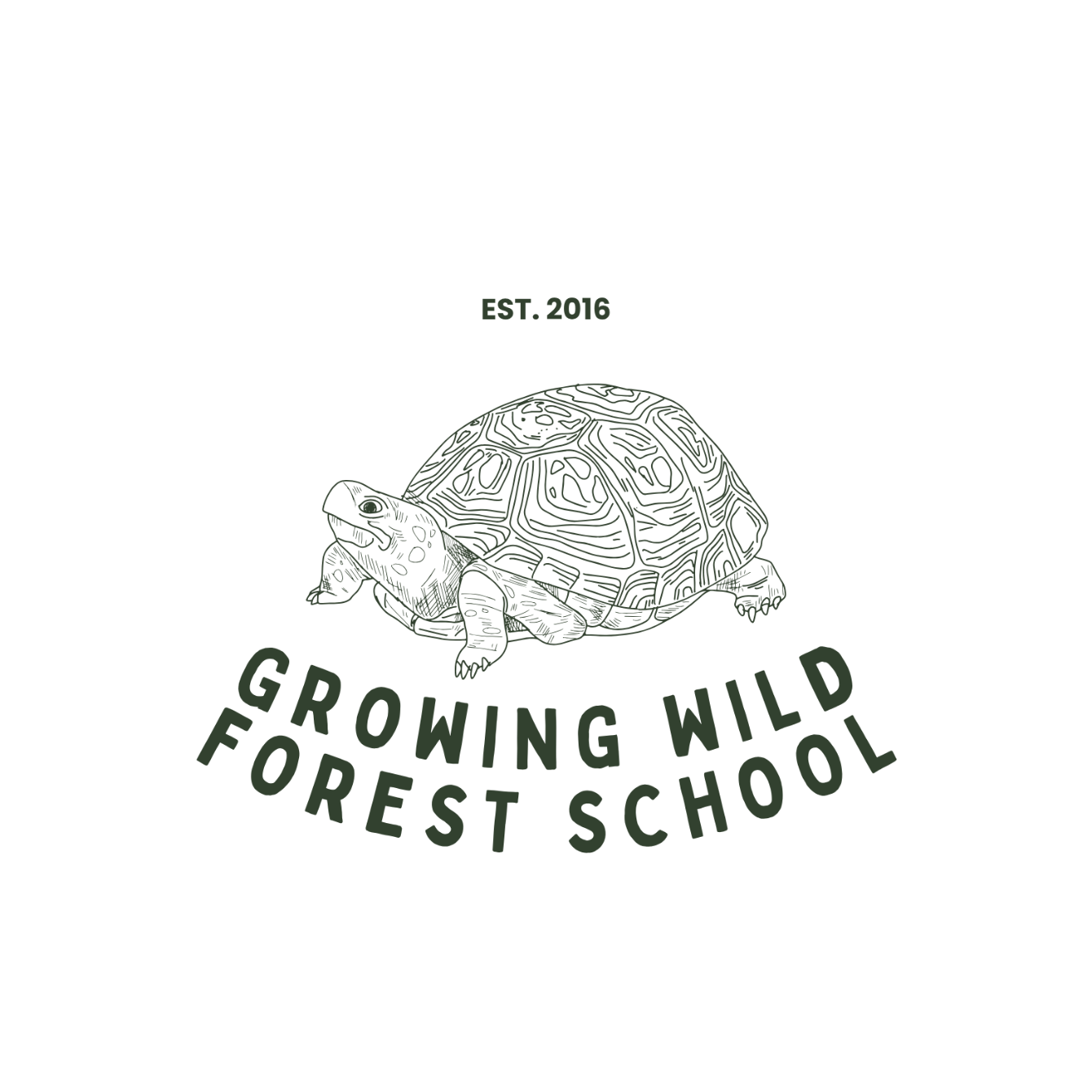 About the  campaign on Bonfire 2