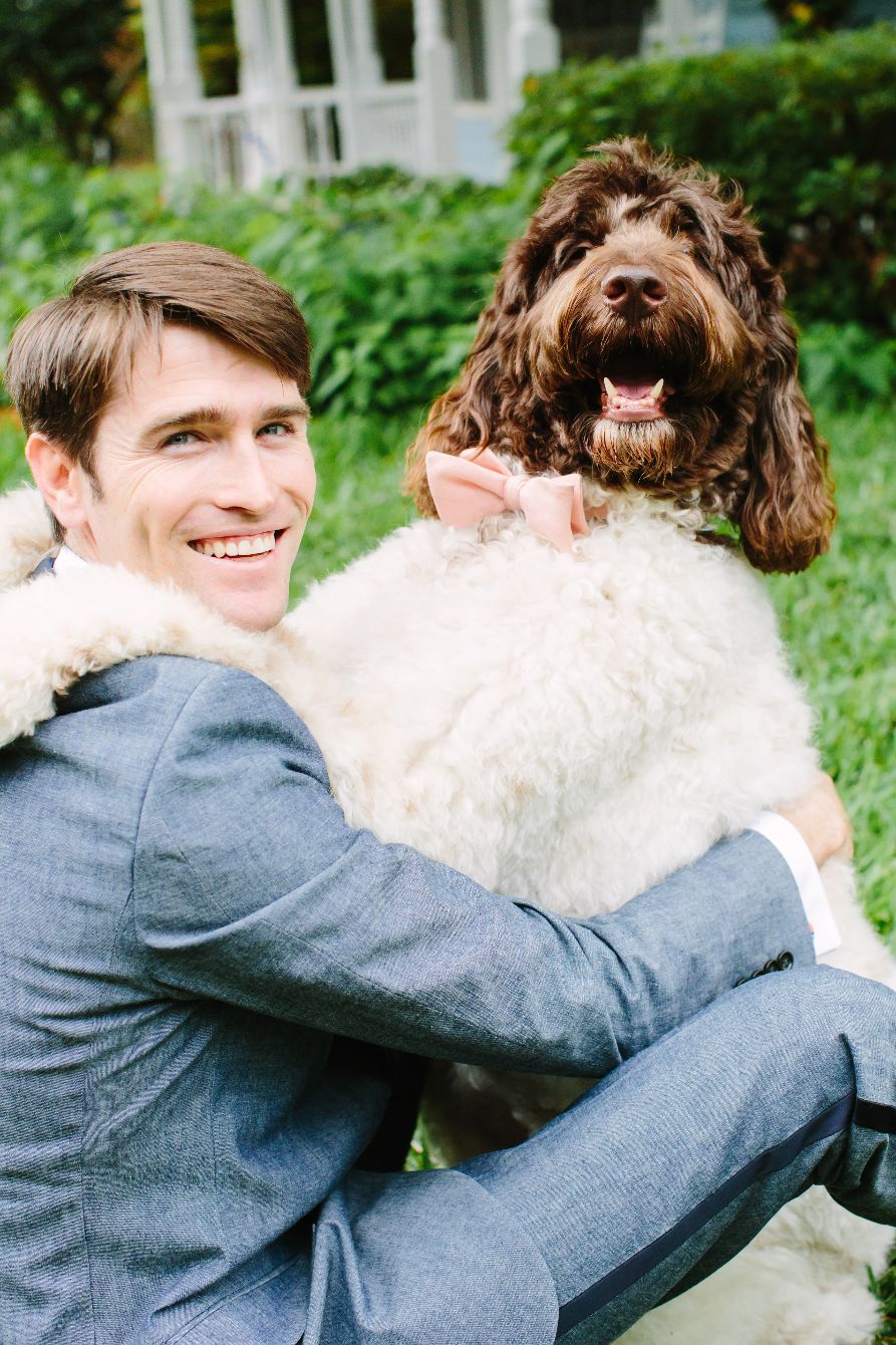 About the Be Like Ben - Good Doggo campaign on Bonfire 2