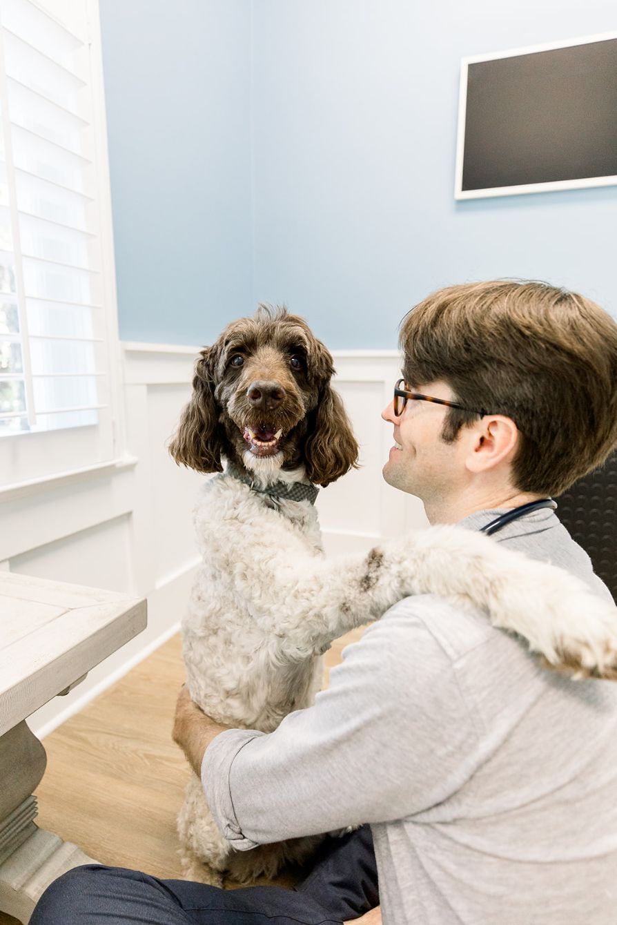 About the Be Like Ben - Good Doggo campaign on Bonfire 5