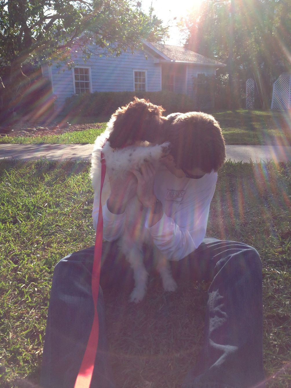 About the Be Like Ben - Good Doggo campaign on Bonfire 3