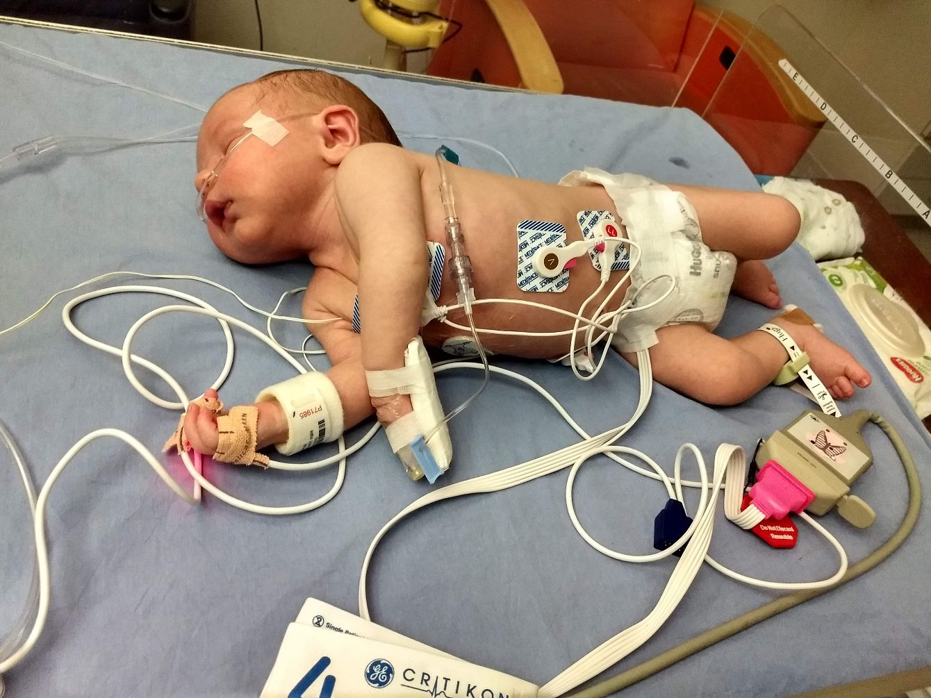 About the Courage for Conrad campaign on Bonfire 2