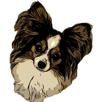 About the  campaign on Bonfire 2
