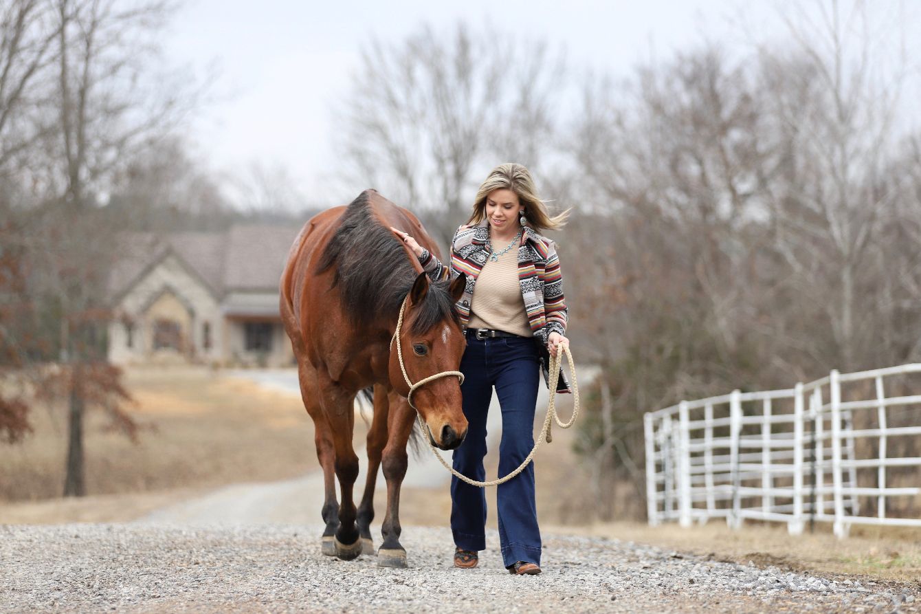 About the  campaign on Bonfire 2